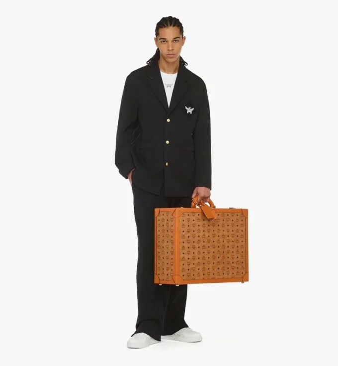 Suitcase in Visetos