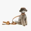 Wristlet Pet Litter Bag Holder in Monogram Print Leather