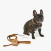 Wristlet Pet Litter Bag Holder in Monogram Print Leather